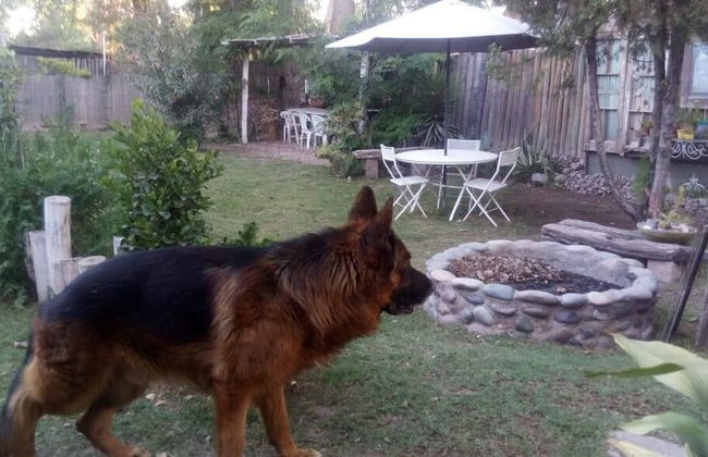 Dark Green House - Chacras de Coria - Photo 32