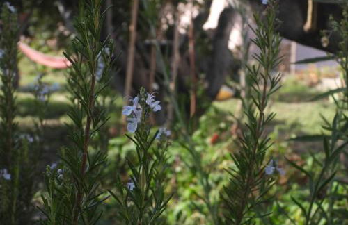 Appartement Gatti - Photo 38