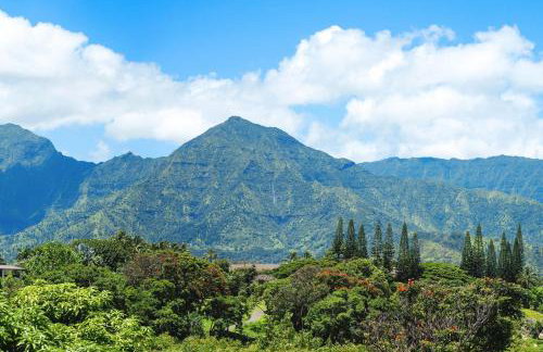 Hanalei Waterfalls House TVNC #5120 - Foto 44