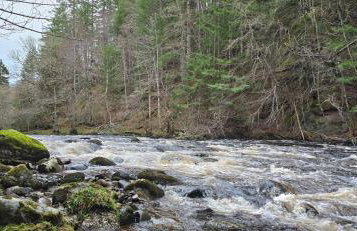 Mike's 3-bedroom Countryside Cottage - Foto 40