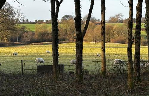 Bittles Cottage - Photo 6