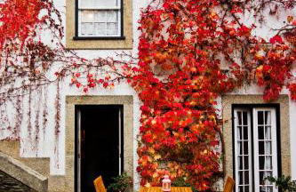 Quinta de Mourães Casa dos Rododendros - Foto 17