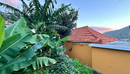 Casa do Perestrelo - Guest House - Foto 5