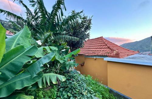 Casa do Perestrelo - Guest House - Foto 5