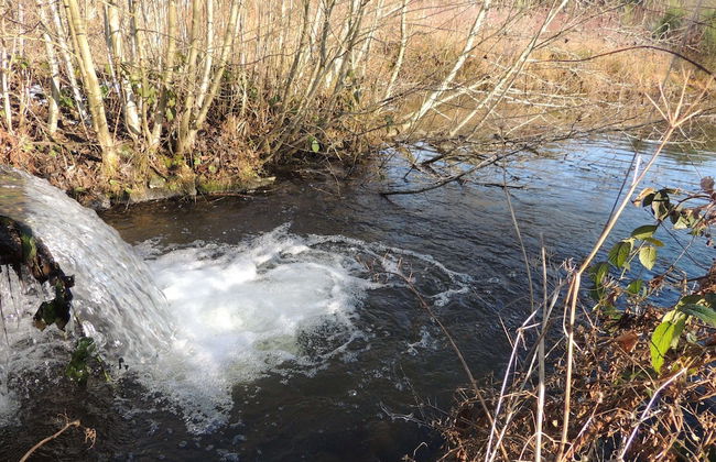 House in the Countryside on a Large Estate - Foto 32
