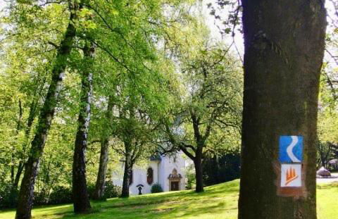 Ferienwohnung im Naturpark Rhein-Westerwald - Foto 24