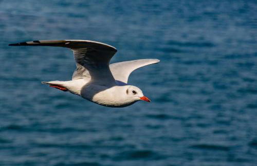 Ferienhof Dreher - Foto 16