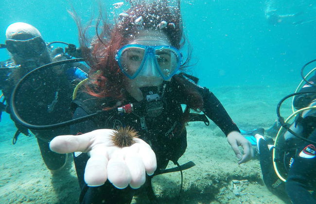 Immersione per principianti ad Agia Pelagia - Foto 4