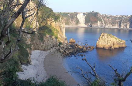 La Casina de Luarca - Foto 35