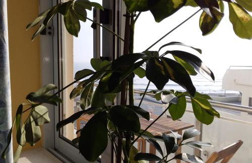 Atlantic Beach-side Apartment - Foto 11