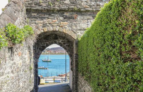 The Old School - Foto 54