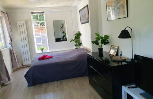 Studio avec jardin-Proche LDLC-Groupama Stadium-Eurexpo-métro - Foto 8