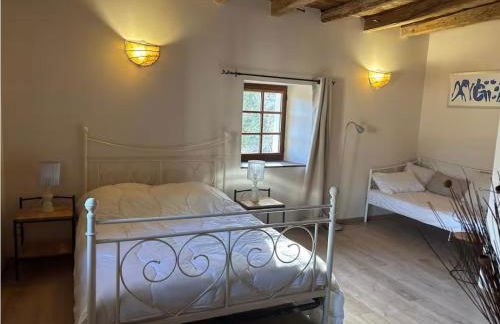 Château de Rivoiranche - Photo 13