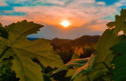 Agriturismo "Le Giustizie" - Foto 56