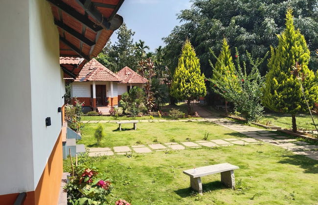 Nature Valley Resort - Foto 36