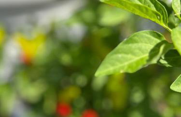 Artistic Retreat, King Suite with Private Balcony! - Foto 67