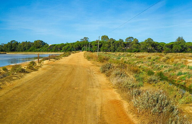 Naturpark-Segway-Tour mit Mittagessen mit Meeresfrüchten auf der Insel Faro - Foto 12