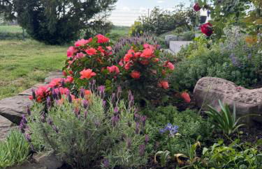 Smarte Wohnung am Bahnhof - Foto 28