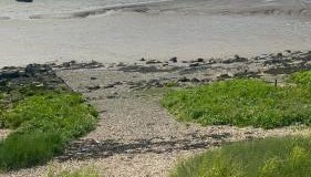 Cosy Flat behind a CreekBeach in Grays - Foto 4