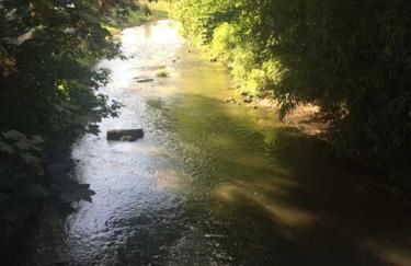 Le Moulin de Vaugien - Foto 47
