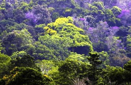 Casa Deixe-se Baleiar na vila de Serra Grande - Photo 16