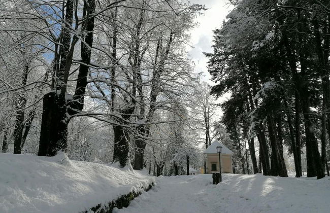 Alpine Comfort Stay, Cavalese - Foto 29