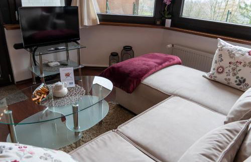 FeWo Harzer Weitblick, bis 2 Hunde Willkommen, W-Lan, 2x Smart TV, DTV 4 Sterne, 4 Pfoten - Foto 35