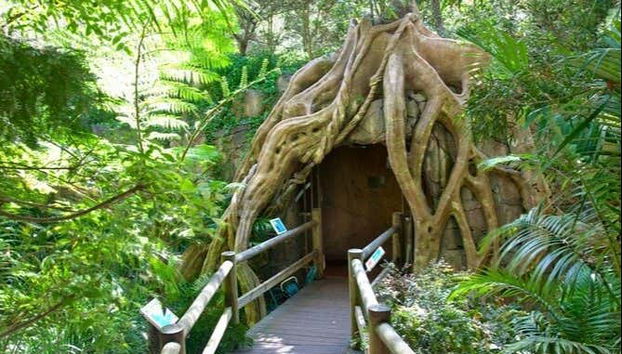 Excursion aux grottes des vers luisants du mont Tamborine - Photo 2