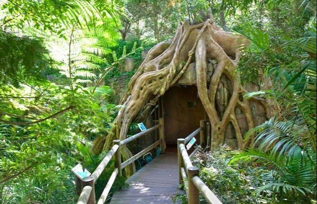 Glow Worm Caves Day Trip from Brisbane - Photo 2