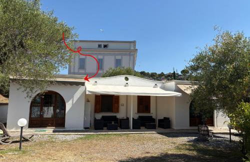 Case Vacanze Torre Petrosa - Foto 29