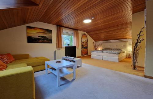 Marburg Apartment geräumiger Lukas in ruhiger Waldrandlage mit Wintergarten - Foto 1