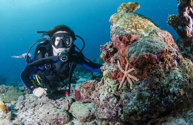 Yacht Suite - Marina di Grosseto - Foto 47