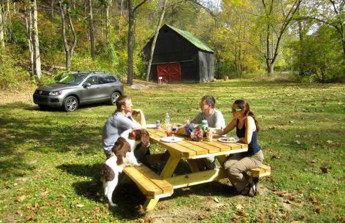 Alice Rocks - Pet Friendly, Firepit, WiFi - Foto 51