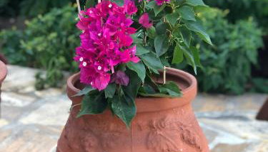 Cycladic Luxury Maisonette - Foto 5