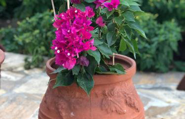 Cycladic Luxury Maisonette - Foto 5