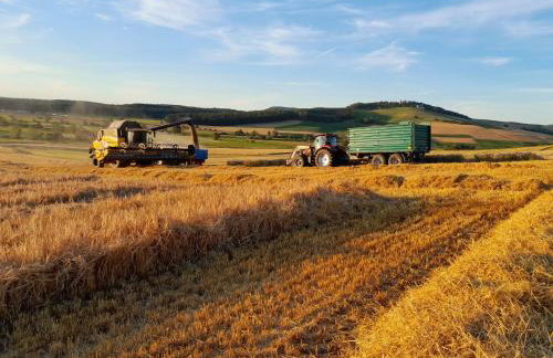 An Webers Stoag - Foto 20