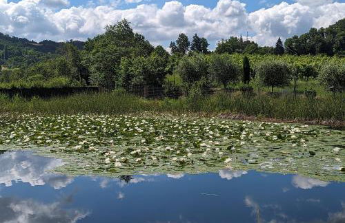 Libero Ranch - Foto 32