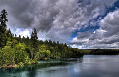 A Lovely Cabin House at Way Woods Retreat with Outdoor Hot Tub! - By Sacred Hub MGMT - Foto 18