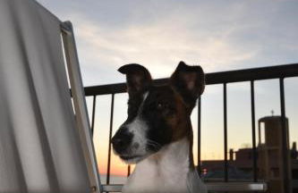 appartamento vista mare da MARY - Foto 49