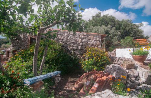 Casa do Professor - Foto 5