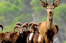 Alojamiento "Destino Cazorla" - Foto 29