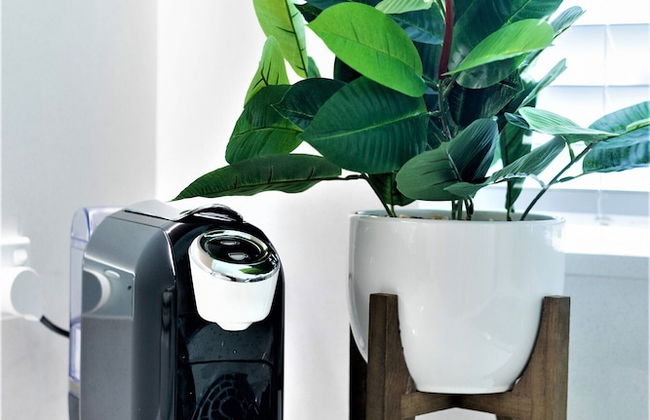 Bondi Beach Oasis - Photo 24