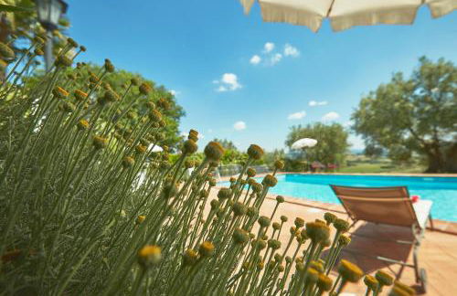 Podere Fontegallo - Photo 42