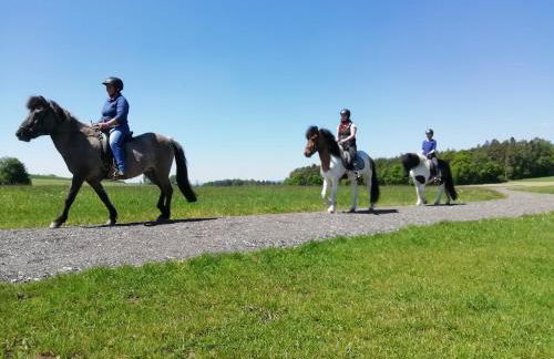 Ponyhof Adam Urlaub auf dem Bauernhof - Foto 46