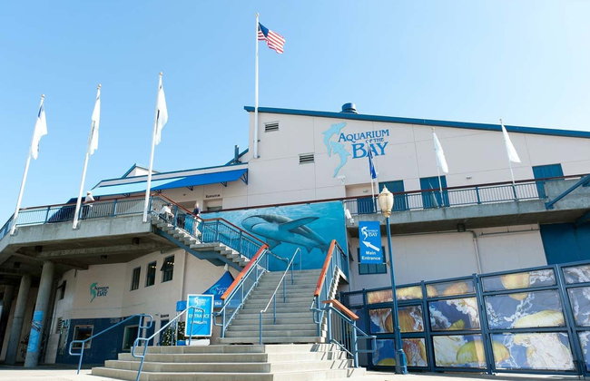 Biglietti per l'Aquarium of the Bay - Foto 6