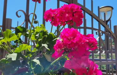 Casa Dolce Casa, a 10 minuti dal mare - Foto 35