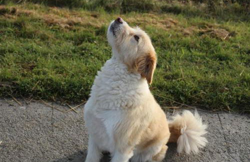 Reetkate Kaltenhoern - Foto 9