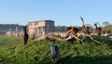 Tiny House Alpakablick - inklusive Alpaka Meet & Greet an bestimmten Terminen - Foto 4
