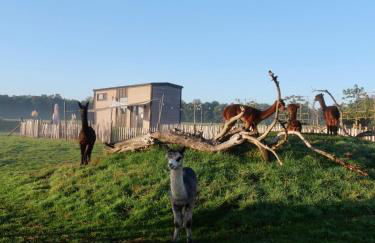 Tiny House Alpakablick - inklusive Alpaka Meet & Greet an bestimmten Terminen - Foto 4