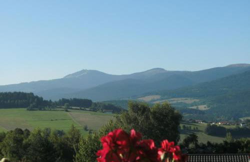 Appartementhaus Himmelreich - Foto 20